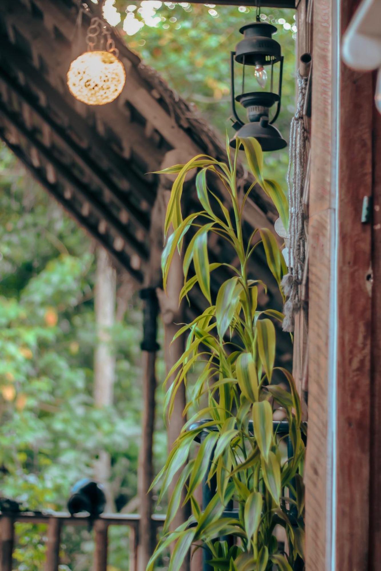 Hostal Tree House Ella Exterior photo